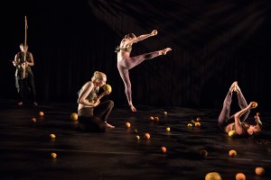 17.ROBIN AND MONKEYS_ADG_Mary_Seidman_026